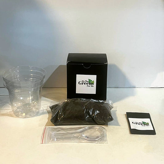 Bean Garden Kit